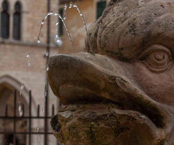 Benvenuti nel nuovo sito del Comune di Priverno